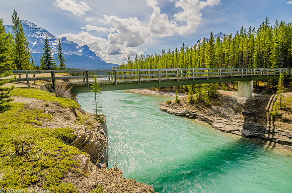 The Glacier Lake Trail crosses the North Saskatchewan River about 1 kilometre from the trailhead.