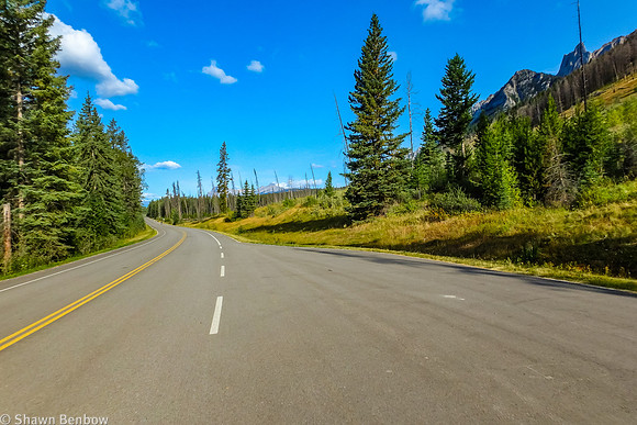 Looking down the Bow Valley Parkway.