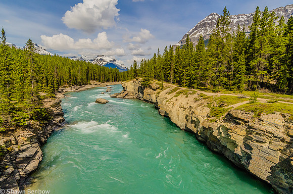 View to the north along the North Saskatchewan River from the Glacier Lake Trail.