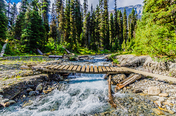 Numa Creek and the flood-damaged bridge.