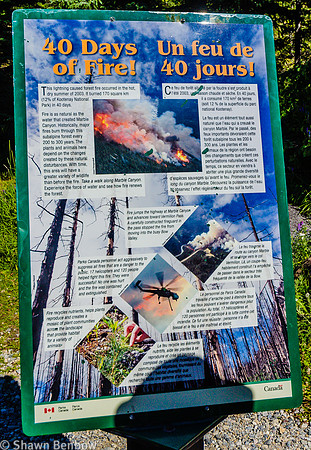 Interpretive panel about the 2003 forest fire that burned 170 square kilometres (12% of Kootenay National Park) in 40 days.