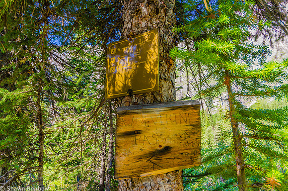 Junction at a side trail to Helmet Falls. We wanted to get a quick start uphill to Limestone Pass so we didn't take the side trip to the falls.
