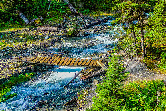 Numa Creek and the flood-damaged bridge.