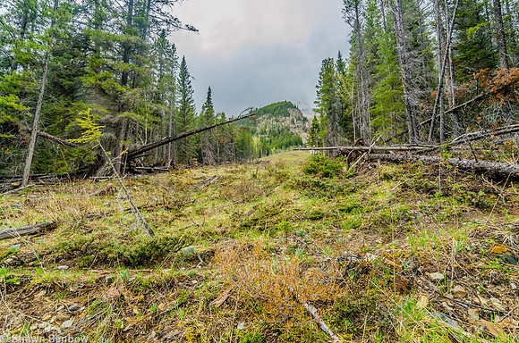 One of the avalanche slopes that brought a ton of material to the lake.