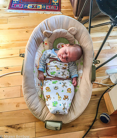 Walter sleeping in his bouncy chair at Uncle Bruce's house when he was two months old.