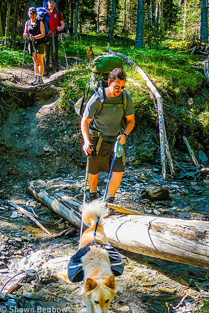 Adam and Charlie crossing a small tributary to Tumbling Creek while Christina and Mark look on.