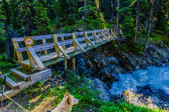 Tumbling Creek Bridge near the campground.