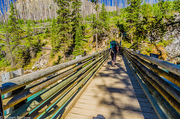 Jenn on the nice bridge over Tokumm Creek