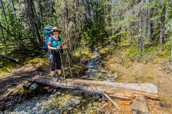 Jenn crossing one of several small bridges on a tributary to the Howse River.